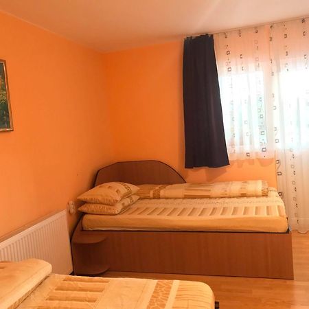 Pensiunea Colt de Rai Săcel Exterior foto