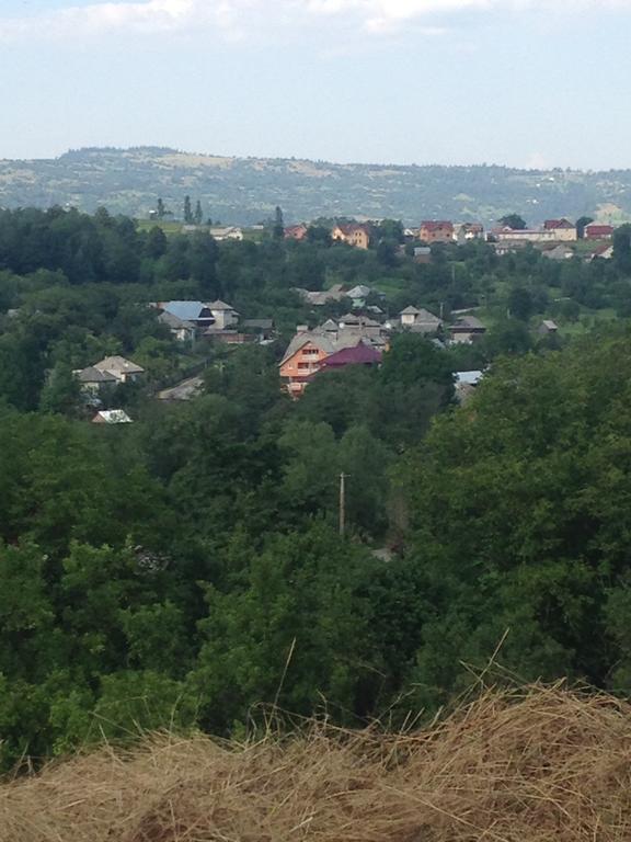Pensiunea Colt de Rai Săcel Exterior foto