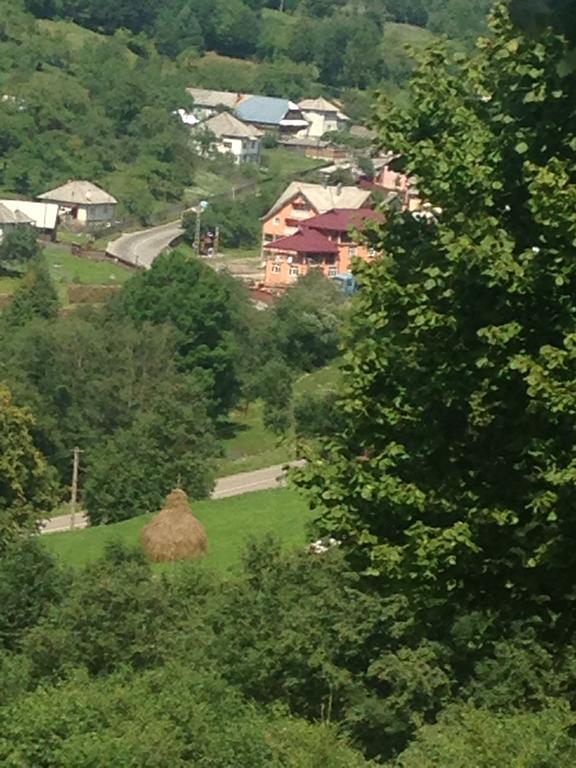 Pensiunea Colt de Rai Săcel Exterior foto