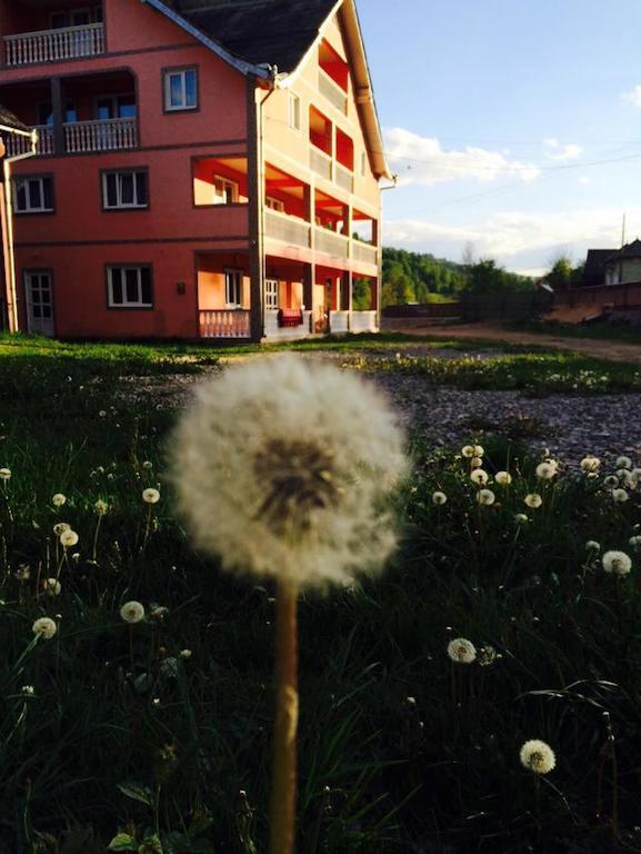Pensiunea Colt de Rai Săcel Exterior foto