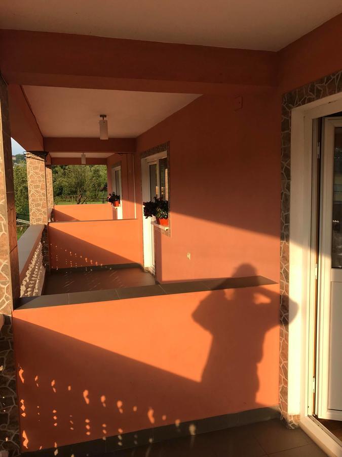 Pensiunea Colt de Rai Săcel Exterior foto