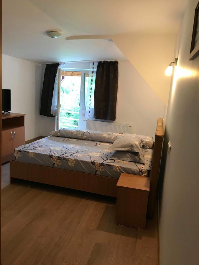 Pensiunea Colt de Rai Săcel Exterior foto