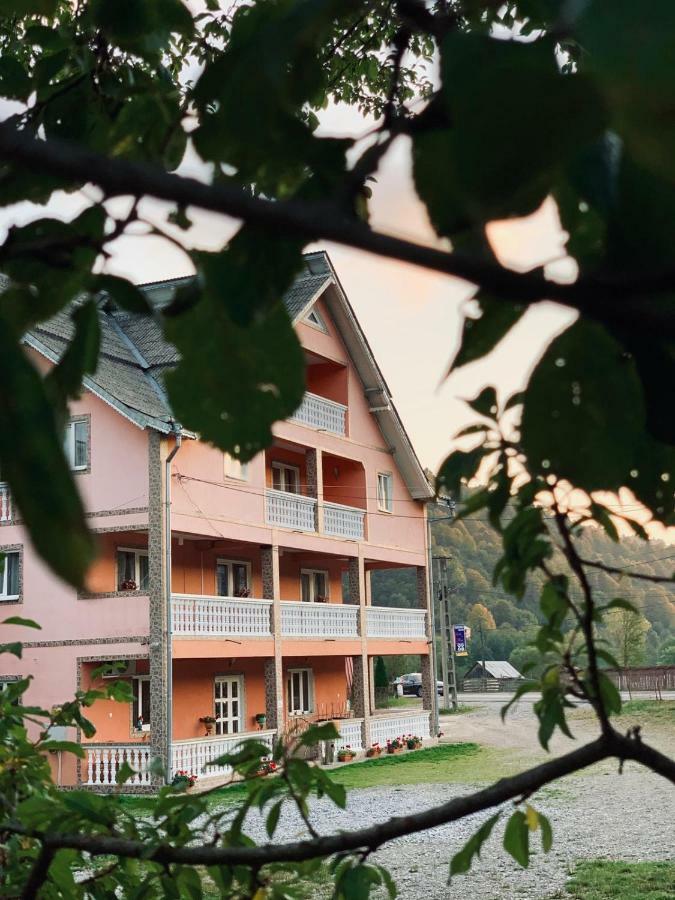 Pensiunea Colt de Rai Săcel Exterior foto